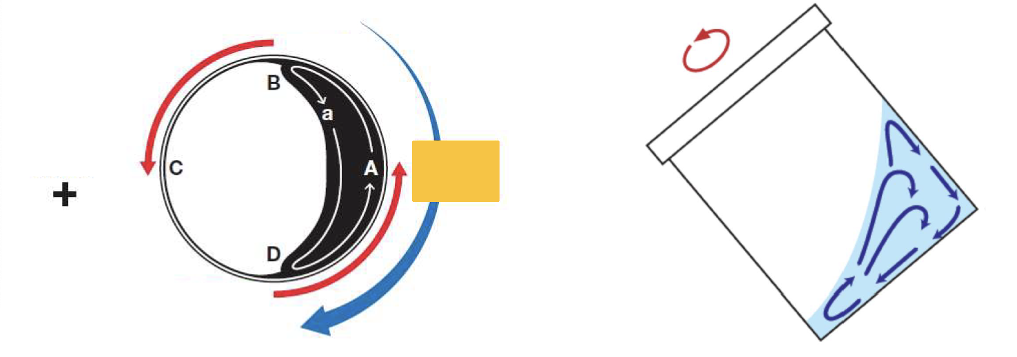 Kakuhunter motion Kakuhunter motion